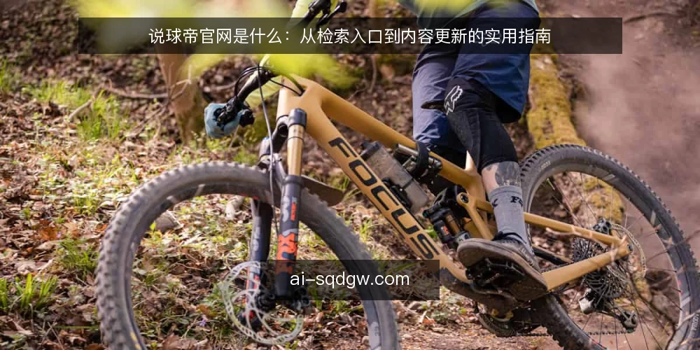 说球帝官网是什么：从检索入口到内容更新的实用指南 — 说球帝官网是什么：定义与定位 配图